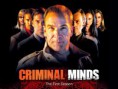 Mentes Criminosas - Temporada 1